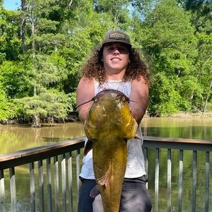 Meet your Posher, Jon paul